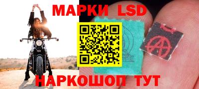 СК Краснодар