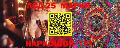 прущие грибы Краснокаменск