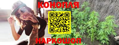 СК Краснодар