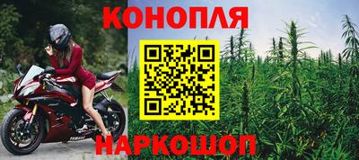 прущие грибы Краснокаменск