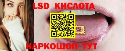 прущие грибы Краснокаменск