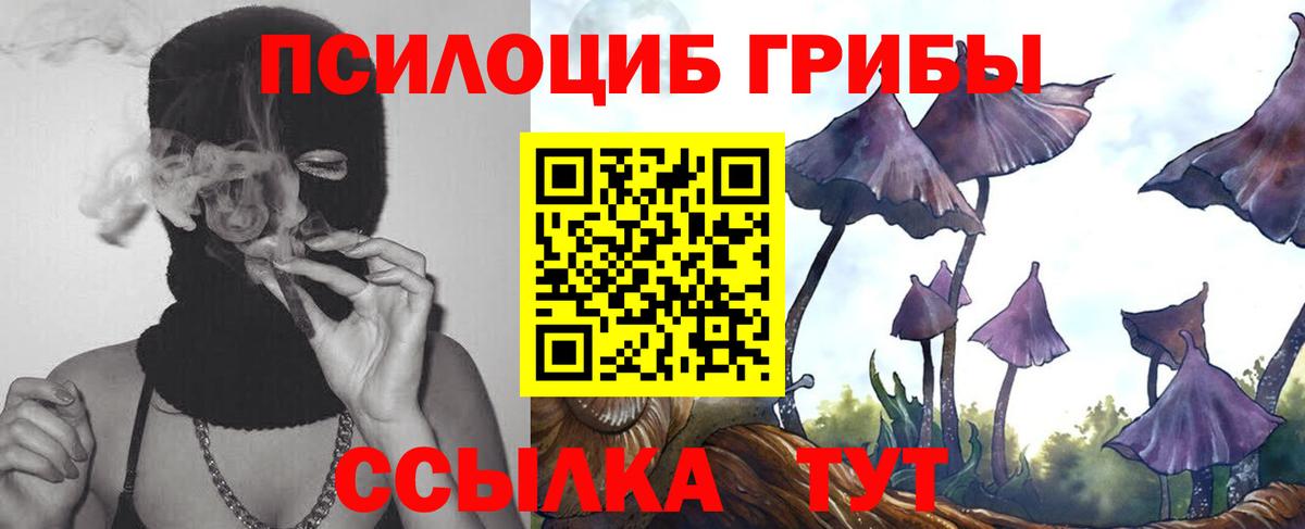 Псилоцибиновые грибы Magic Shrooms  Псилоцибиновые грибы прущие грибы  Партизанск  Вход с VPN 